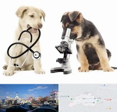 آزمایشگاه دامپزشکی در ماهدشت کرج