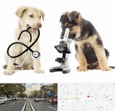 آزمایشگاه دامپزشکی در دولت