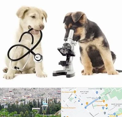 آزمایشگاه دامپزشکی در محلاتی شیراز