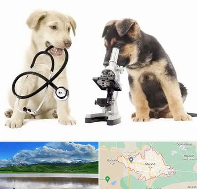 آزمایشگاه دامپزشکی در مرند