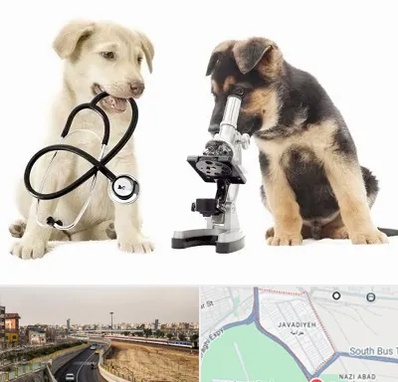 آزمایشگاه دامپزشکی در جوادیه