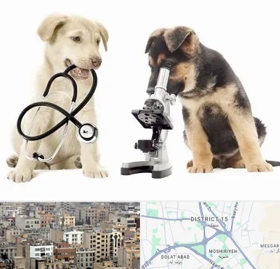آزمایشگاه دامپزشکی در جنوب شرق تهران