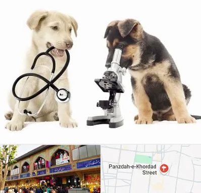 آزمایشگاه دامپزشکی در 15 خرداد