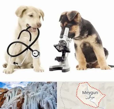 آزمایشگاه دامپزشکی در میگون