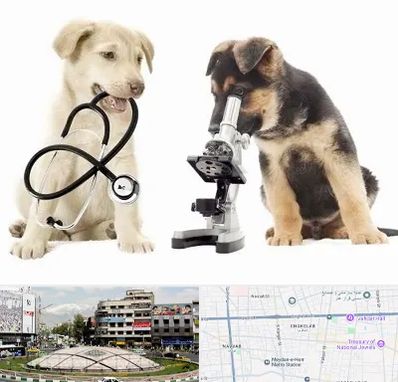 آزمایشگاه دامپزشکی در مرکز تهران