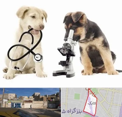 آزمایشگاه دامپزشکی در اتابک