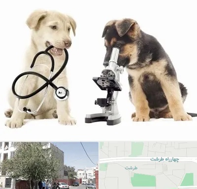 آزمایشگاه دامپزشکی در طرشت