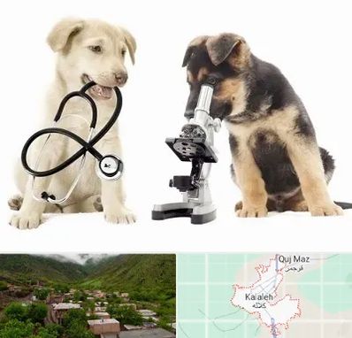 آزمایشگاه دامپزشکی در کلاله