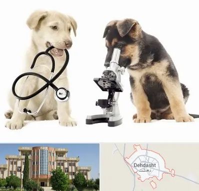 آزمایشگاه دامپزشکی در دهدشت