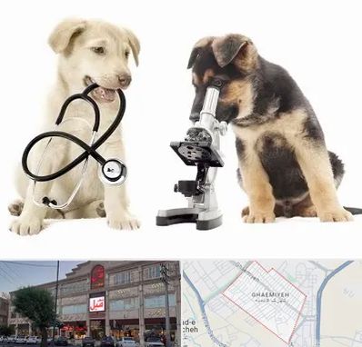 آزمایشگاه دامپزشکی در قائمیه اسلامشهر