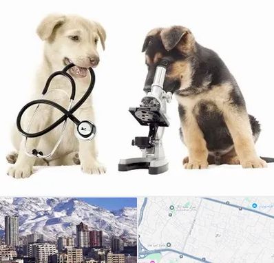 آزمایشگاه دامپزشکی در ازگل