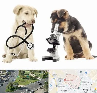 آزمایشگاه دامپزشکی در شاهین ویلا کرج