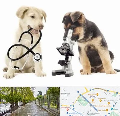 آزمایشگاه دامپزشکی در خیابان ارم شیراز