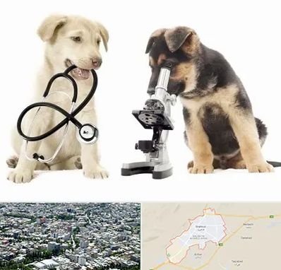 آزمایشگاه دامپزشکی در شاهرود