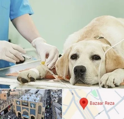 دامپزشک جراح در بازار رضا مشهد
