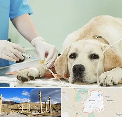 دامپزشک جراح در مرودشت