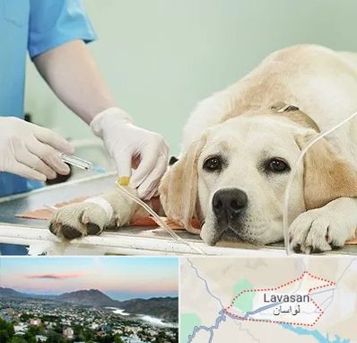 دامپزشک جراح در لواسان