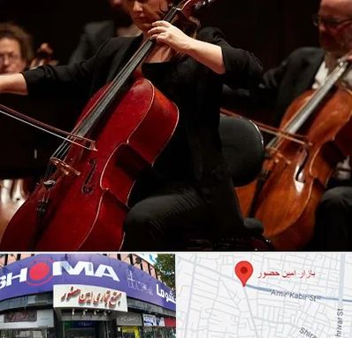 آموزشگاه ویولون سل در امین حضور