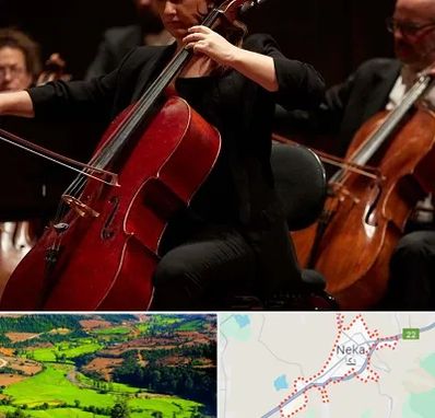 آموزشگاه ویولون سل در نکا