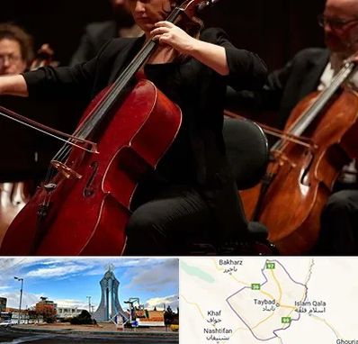 آموزشگاه ویولون سل در تایباد