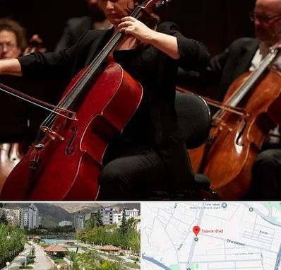 آموزشگاه ویولون سل در بلوار تعاون