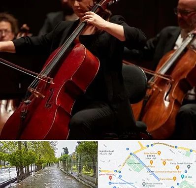 آموزشگاه ویولون سل در خیابان ارم شیراز