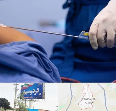 پیکر تراشی در فردوسیه شهریار