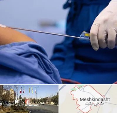 پیکر تراشی در مشکین دشت