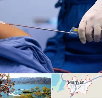 پیکر تراشی در مریوان