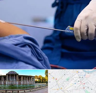 پیکر تراشی در عفیف آباد شیراز