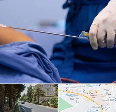 پیکر تراشی در مهرویلا کرج