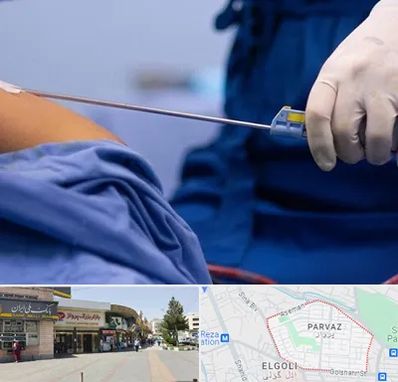 پیکر تراشی در پرواز تبریز