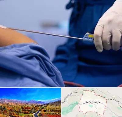 پیکر تراشی در خراسان شمالی