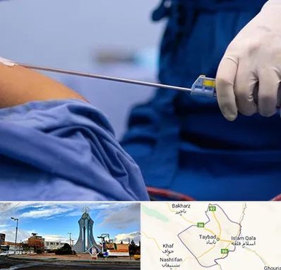 پیکر تراشی در تایباد