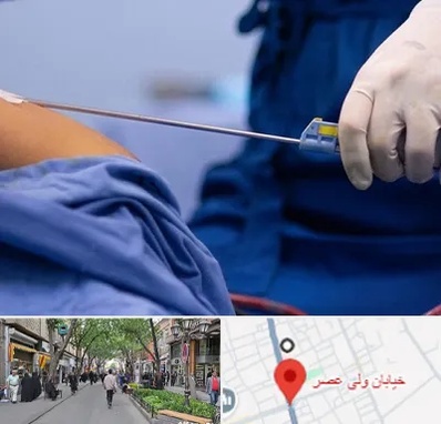 پیکر تراشی در ولیعصر شهریار