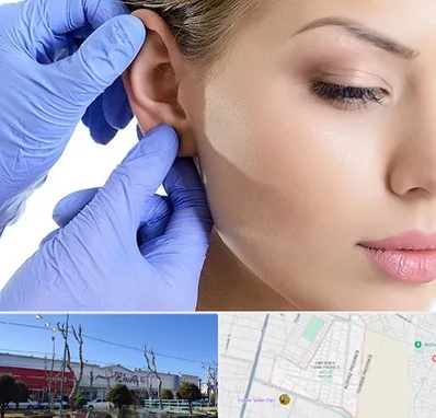اتوپلاستی در فاز دو اندیشه