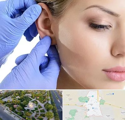 اتوپلاستی در کاشمر