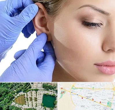 اتوپلاستی در وکیل آباد مشهد