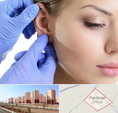 اتوپلاستی در پردیسان قم