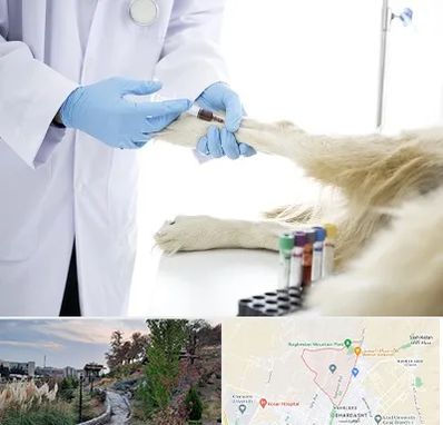 آزمایشگاه حیوانات در باغستان کرج