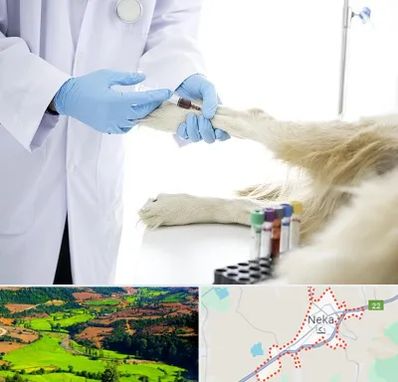 آزمایشگاه حیوانات در نکا