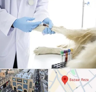 آزمایشگاه حیوانات در بازار رضا مشهد