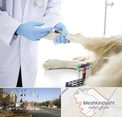 آزمایشگاه حیوانات در مشکین دشت