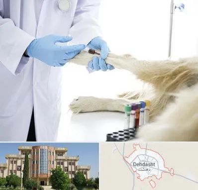 آزمایشگاه حیوانات در دهدشت