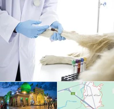 آزمایشگاه حیوانات در آستانه اشرفیه