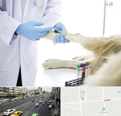 آزمایشگاه حیوانات در خیابان دامپزشکی