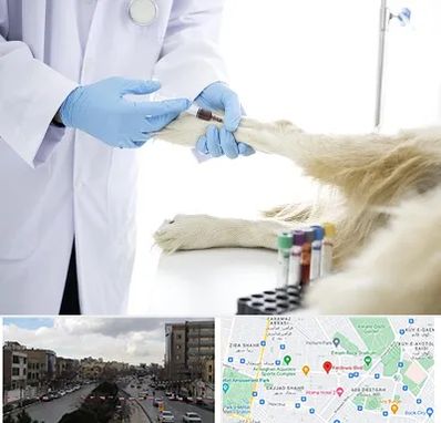 آزمایشگاه حیوانات در بلوار فردوسی مشهد