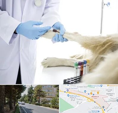 آزمایشگاه حیوانات در مهرویلا کرج