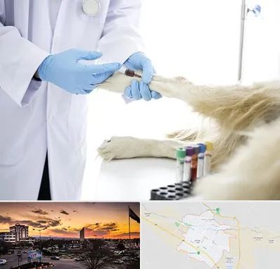 آزمایشگاه حیوانات در قوچان