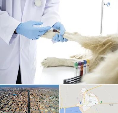 آزمایشگاه حیوانات در بندر ماهشهر